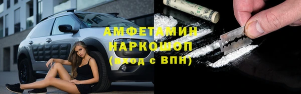 шишки Горнозаводск