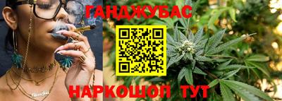шишки Гусиноозёрск