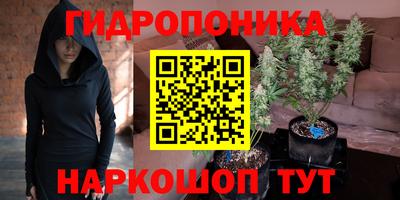 шишки Гусиноозёрск